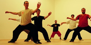 taijiquan, taiji, taichi